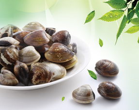 唆唆美餐飲 產品 產品介紹 最新產品信息