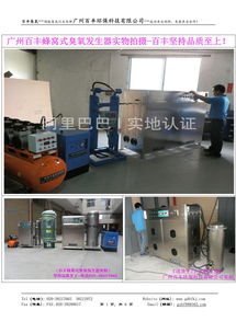 日用品廠專用臭氧滅菌消毒設備 高效、安全、環(huán)保的生產(chǎn)保障